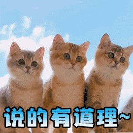 陌陌平台活动：完成指定任务=佣金+系统选配同城美女上门